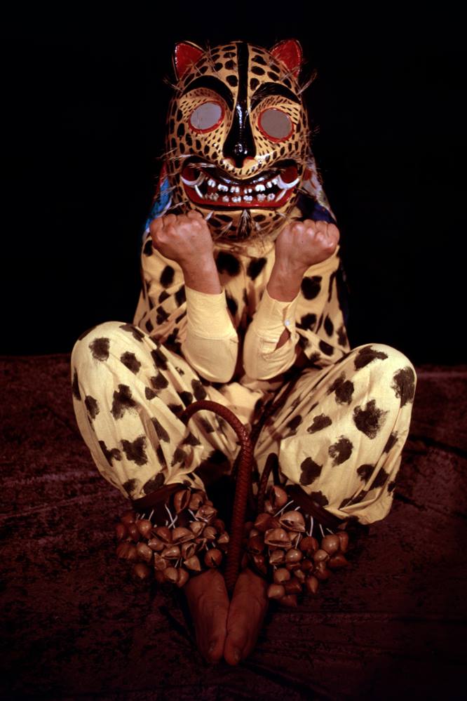 El Jaguar de Guerrero